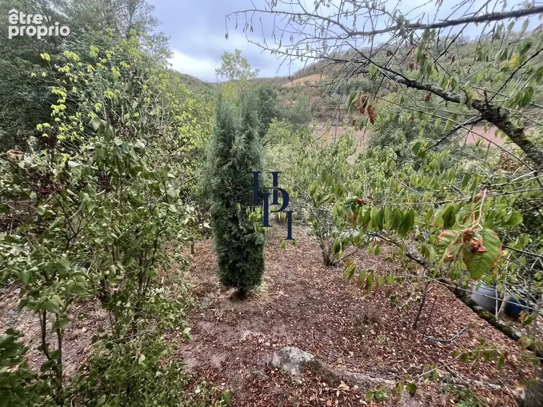 A vendre Belmont sur Rance, maison de village avec terrain non attenant. - photo 2