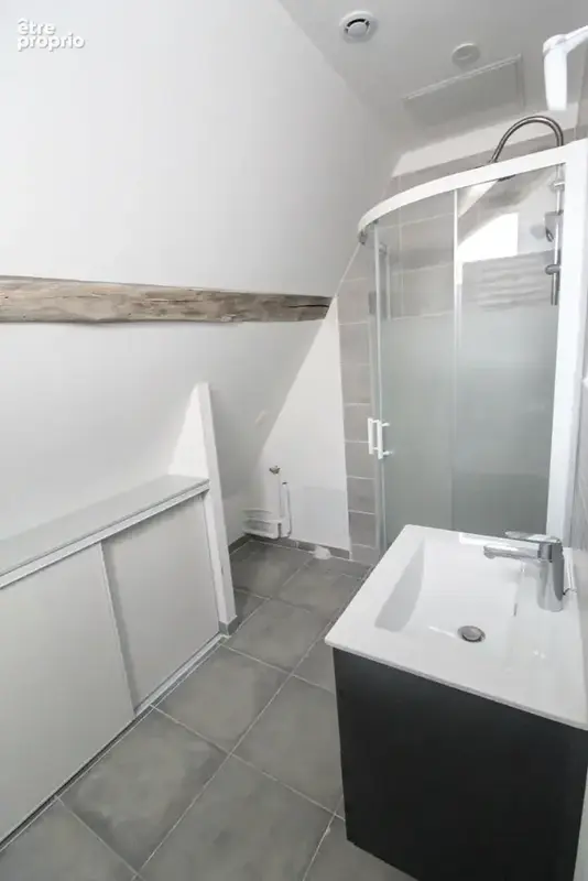 A VENDRE Exceptionnel T2 Bis avec Mezzanine  Hôtel Particulier Dijon Centre (Place Bossuet) - photo 3