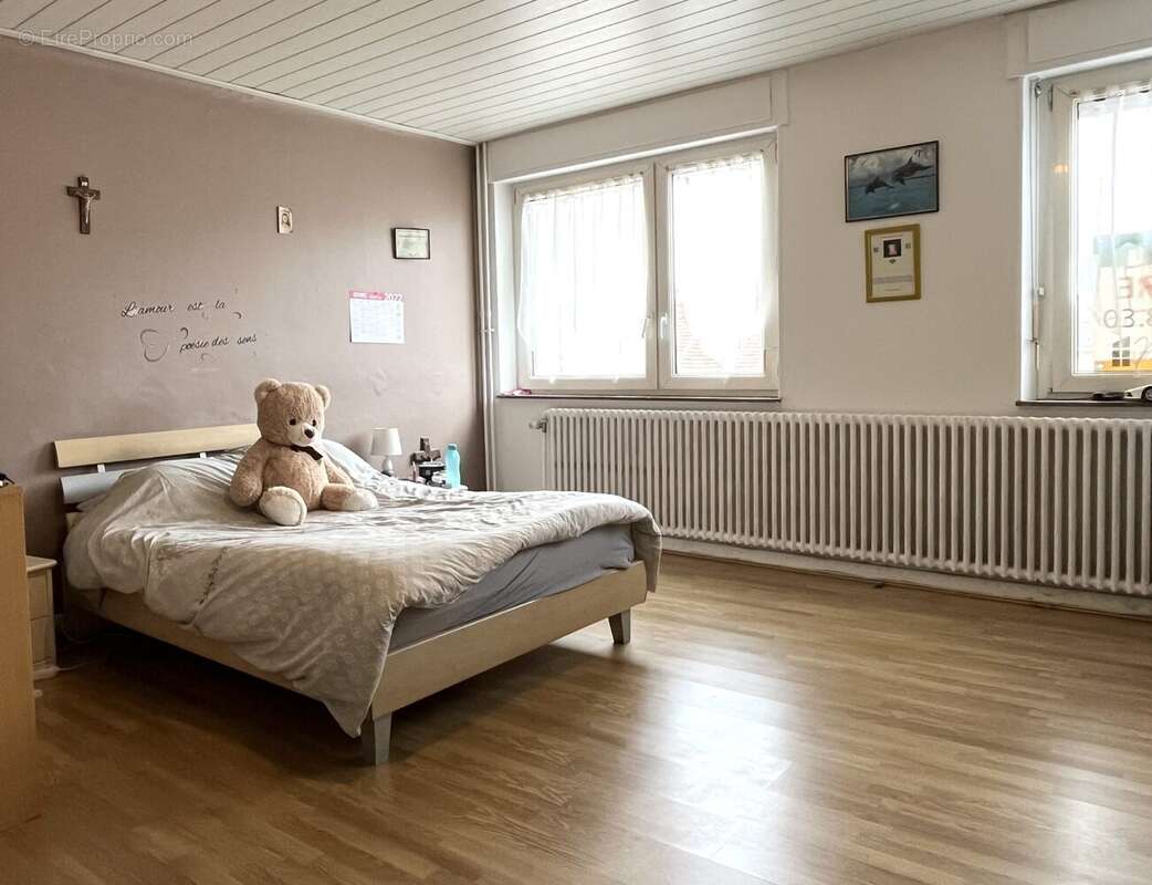 Maison 320 m² à Lorquin  - photo 8