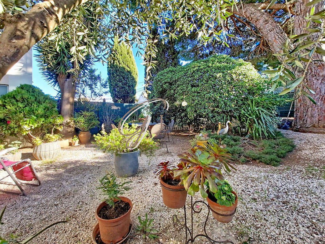 Appartement T3 avec grand jardin à Mar Vivo, La Seyne sur mer - photo 10
