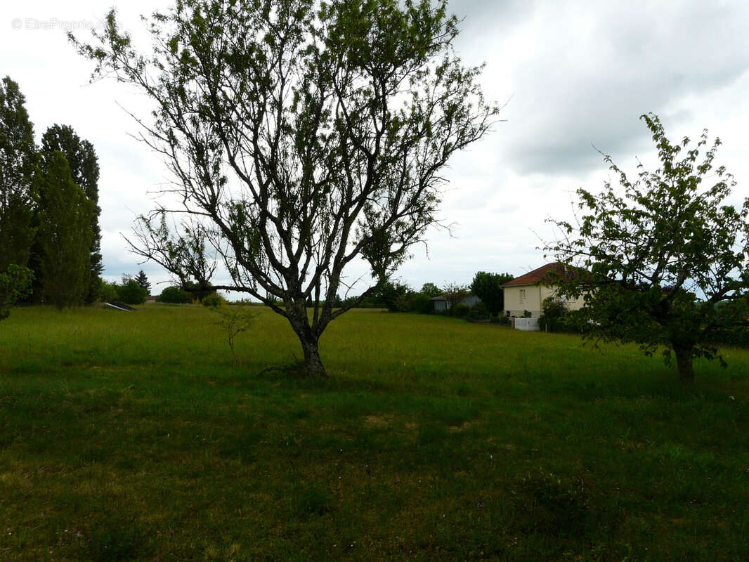 Terrain à CASTELNAU-MONTRATIER