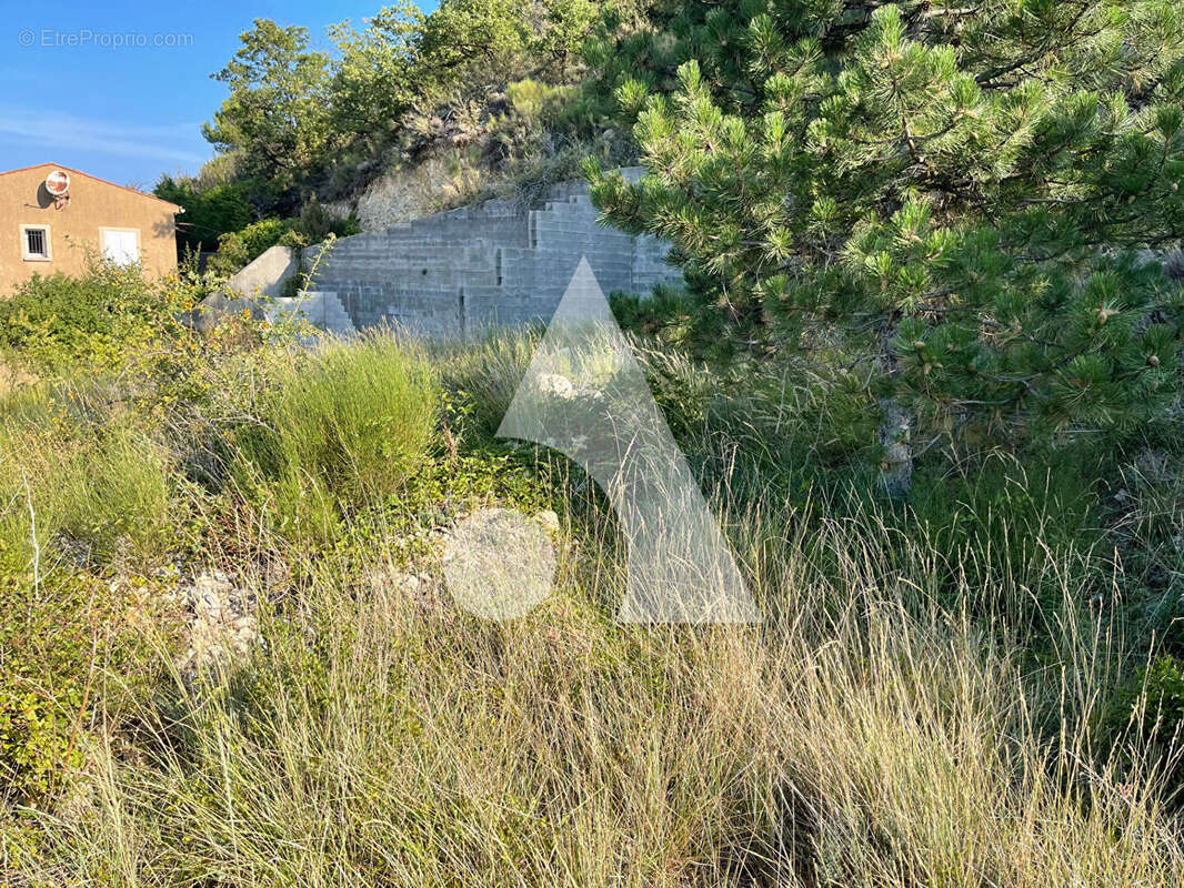 Terrain à SAINT-JURS