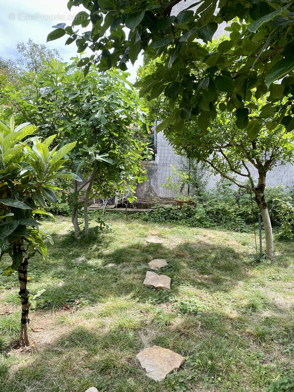 Valence - montplaisir - maison de 170 m2 - photo 14