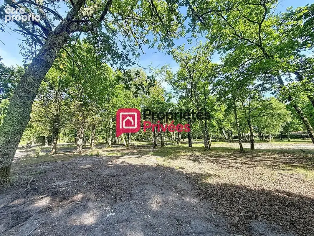 Hourtin-port - votre terrain à bâtir de 542 m² à deux pas du lac - photo 7