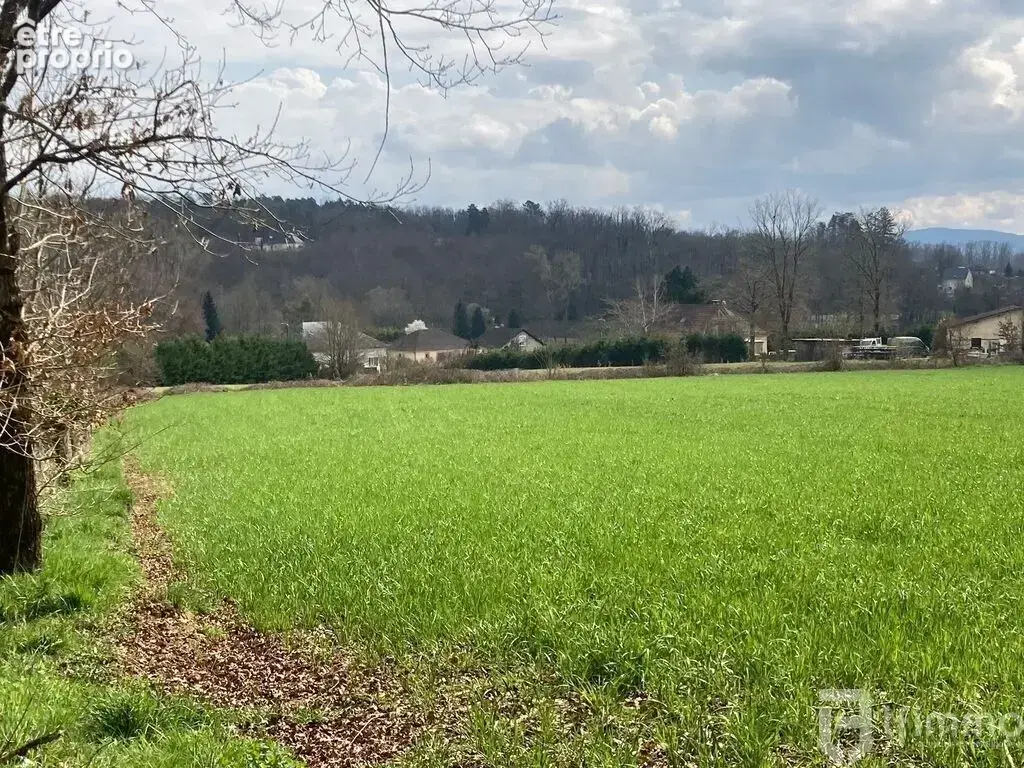 Cublac en Corrèze - Terrain à bâtir - A Basse Rivière - photo 2