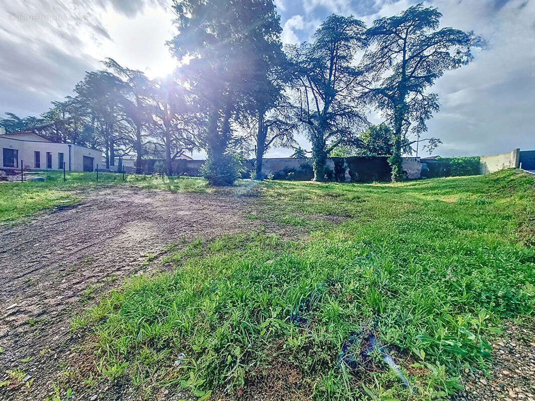 Terrain à ANDREZIEUX-BOUTHEON