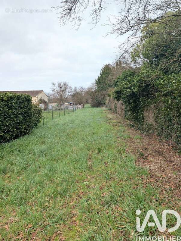 Photo 6 - Terrain à CHASSORS