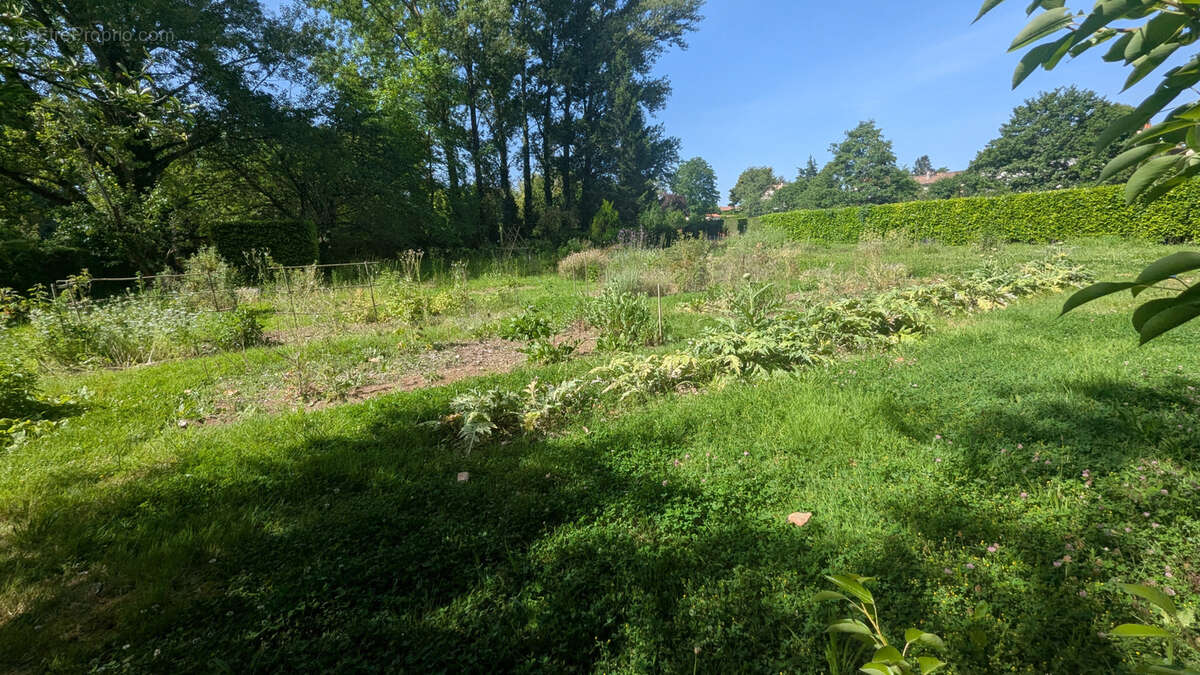 Terrain à NIORT