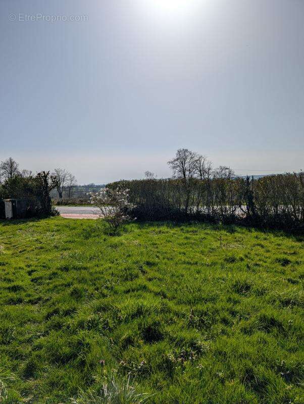 Maison 73 m² à Treban  - photo 2