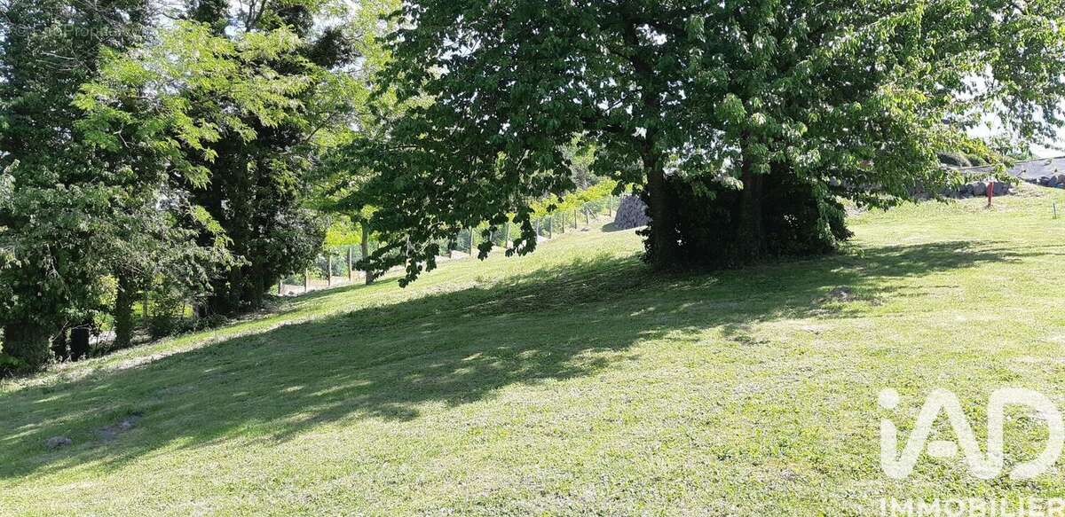 Photo 8 - Terrain à VEYRE-MONTON