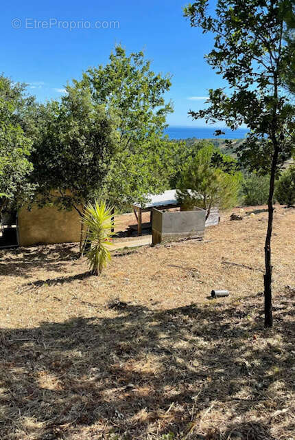 Terrain à ARGELES-SUR-MER