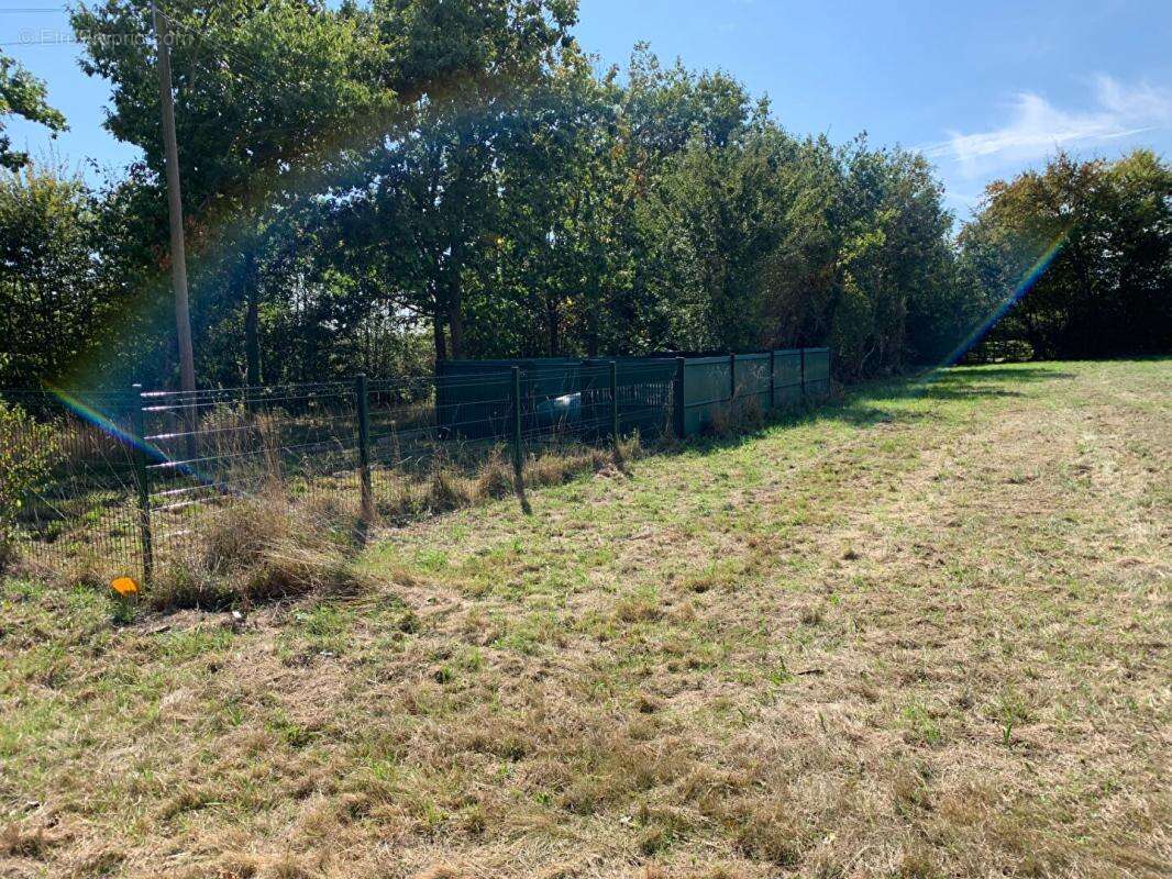 Terrain à LA TRINITE-DE-REVILLE