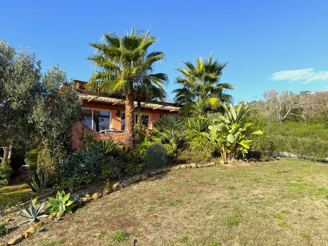 Maison à SARI-SOLENZARA