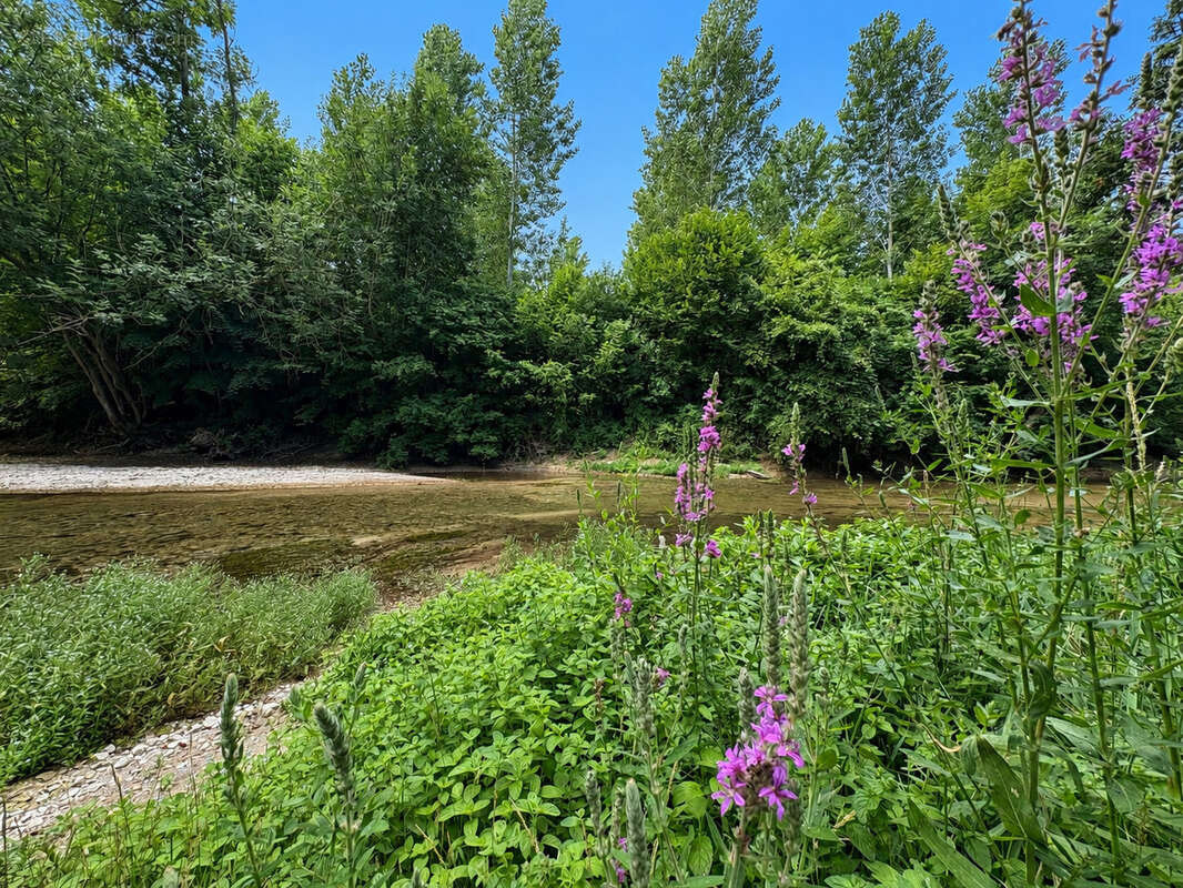 Maison de village - 240m2 - parc arbore - photo 13