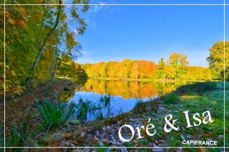 Terrain à SAINT-DESIRE