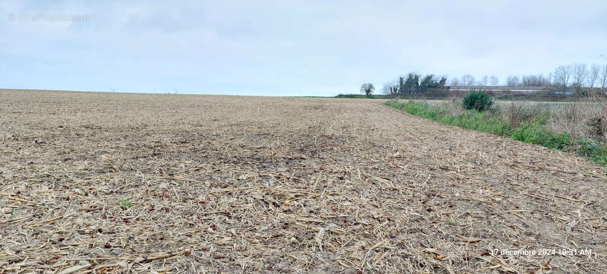Terrain à CAMBRAI
