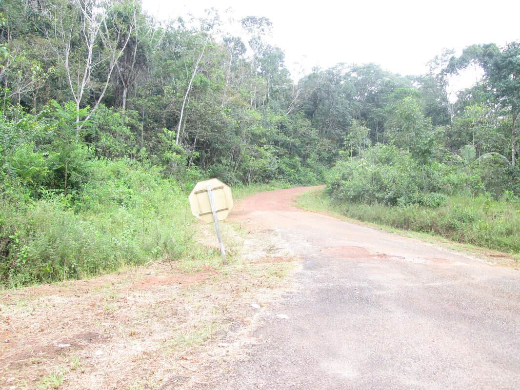 Terrain à SAINT-GEORGES