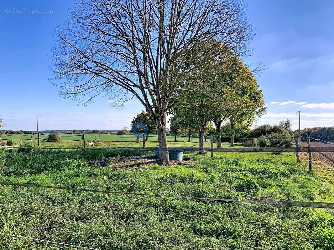 Maison à CHATEAU-LA-VALLIERE