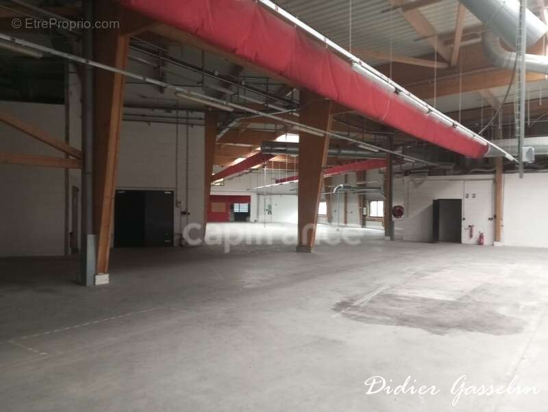 Commerce à BERD'HUIS