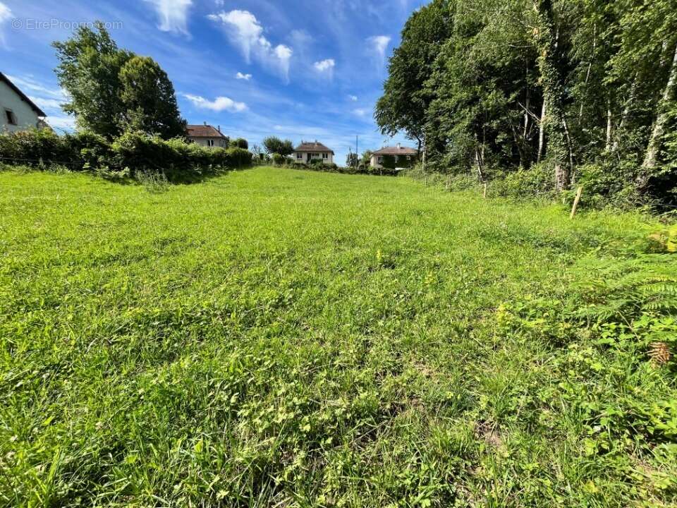 Terrain à ROANNES-SAINT-MARY