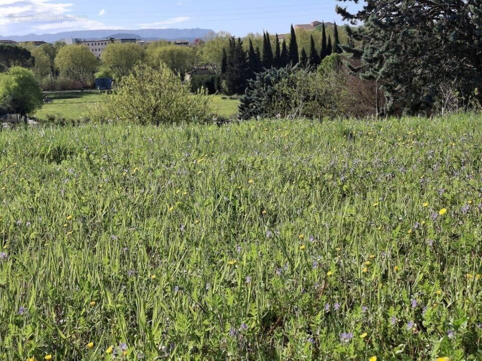 Terrain à PERTUIS