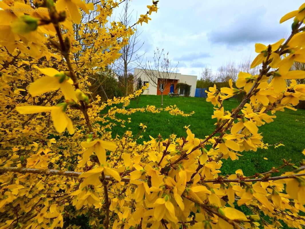 Photo 3 - Maison à LA FLECHE