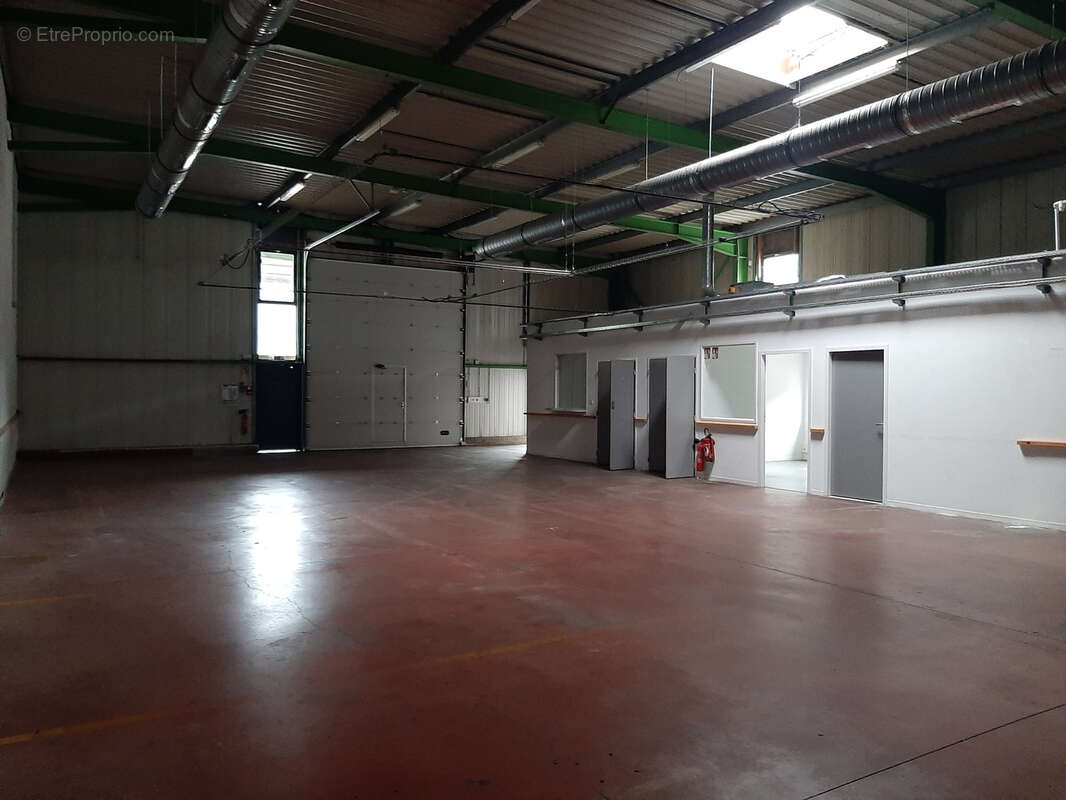 Commerce à SAINT-SAUVEUR-DE-MONTAGUT