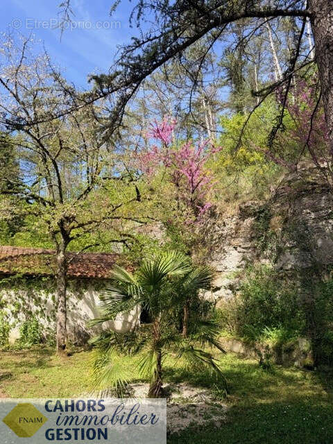 Maison à CAHORS