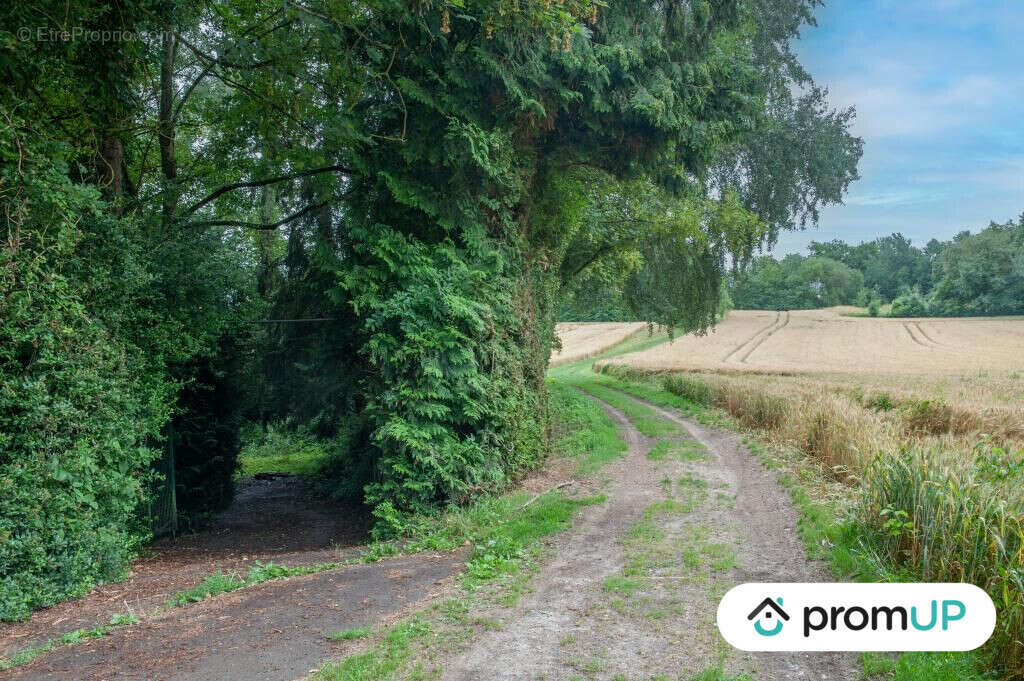 Terrain à COURMELLES