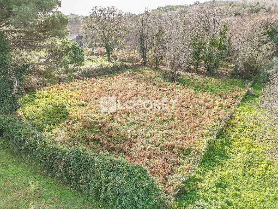 Terrain à SANTA-LUCIA-DI-MORIANI