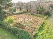 Terrain à SANTA-LUCIA-DI-MORIANI