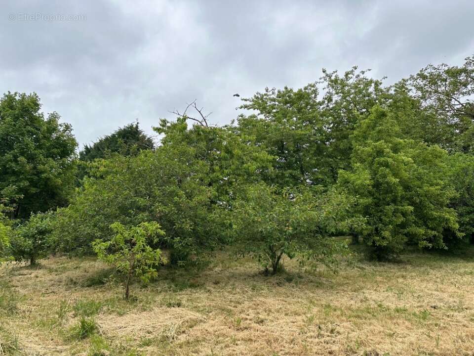 Terrain à SORIGNY