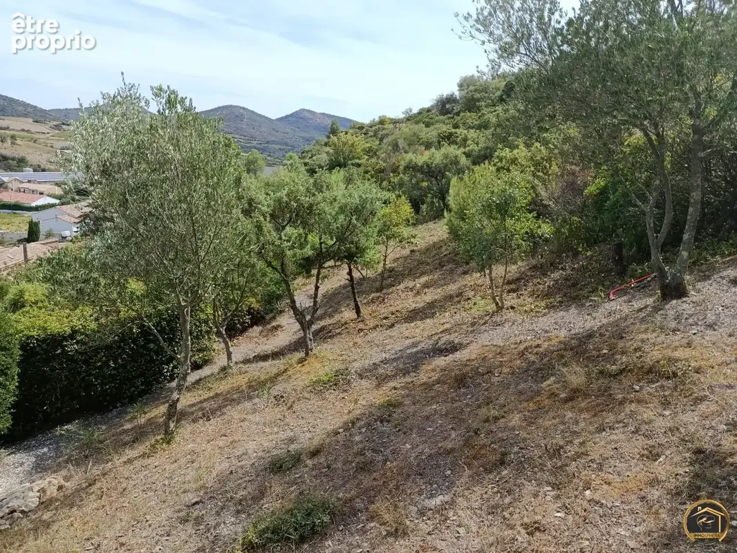 Terrain 2 038 m² à vendre à Cascastel-Des-Corbieres (11360) - photo 8