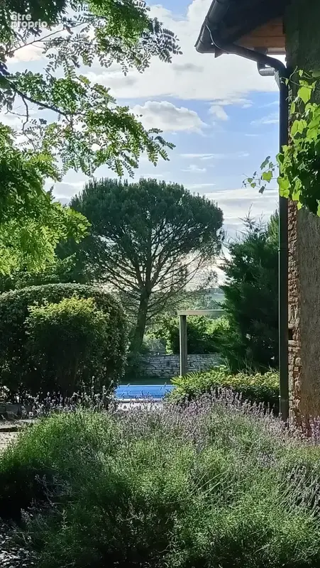 Belle propriété - photo 4