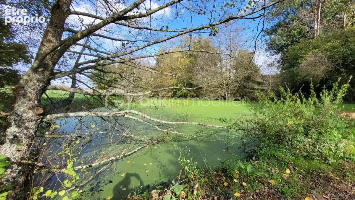 Maison avec exploitation agricole 150m2, 9 pièces - photo 10