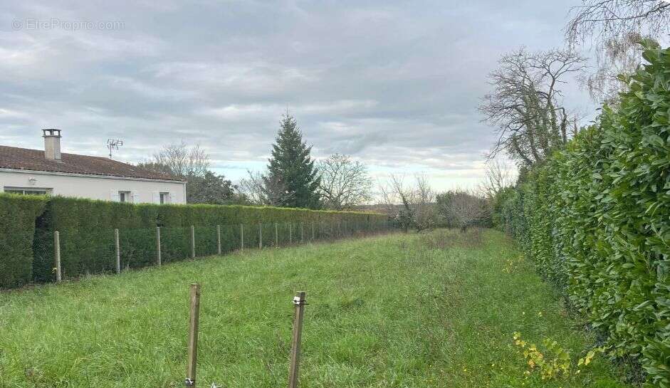 Terrain à SAINT-AUGUSTIN