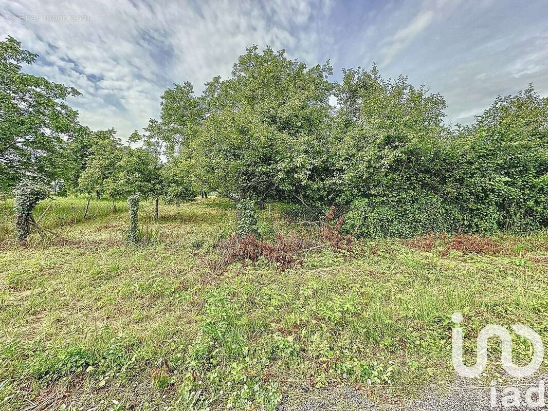 Photo 4 - Terrain à CORQUILLEROY