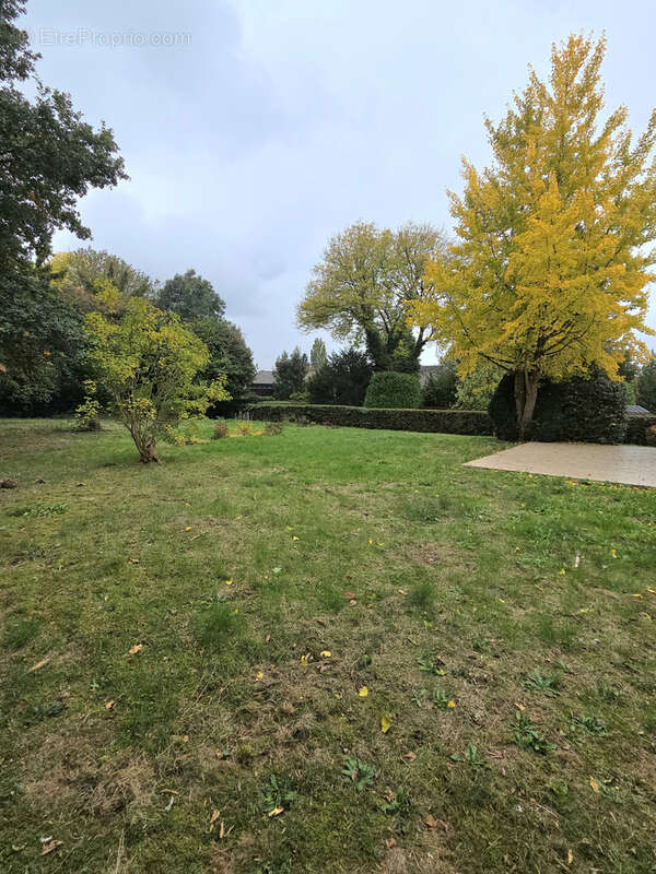 Maison à AULNOYE-AYMERIES