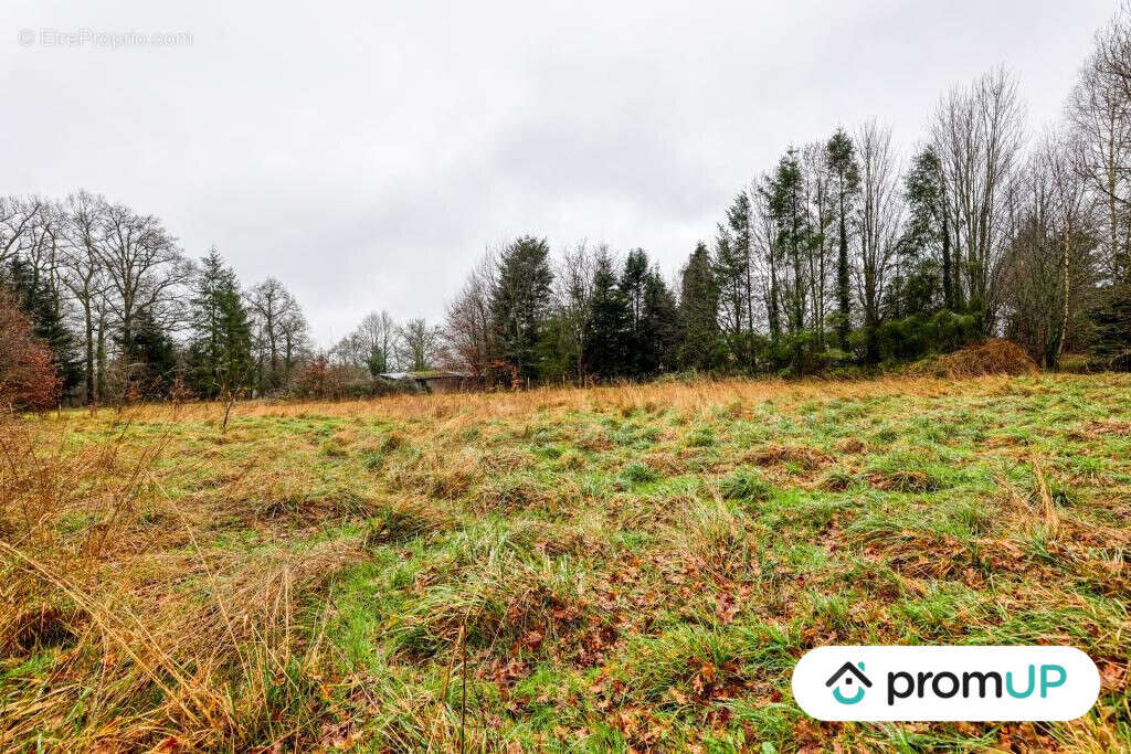 Terrain à PEYRILHAC