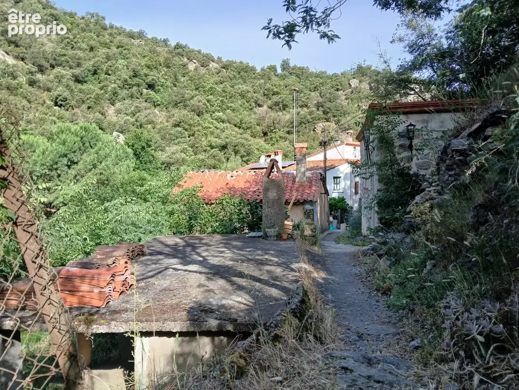 Mas en pierre à Reynes - photo 6