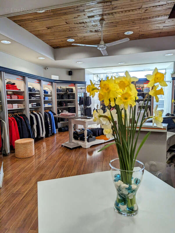 Commerce à SABLE-SUR-SARTHE