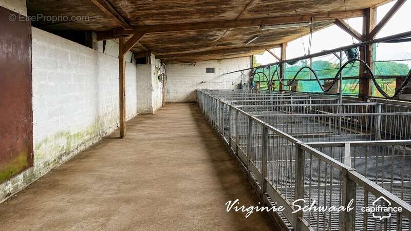 TILH (40) – Maison de 9 pièces avec dépendances sur plus de 3 000 m² de terrain - photo 20