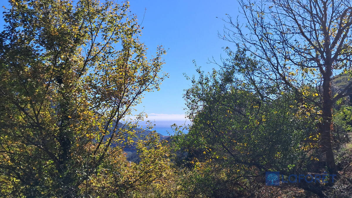 Terrain à CASTILLON