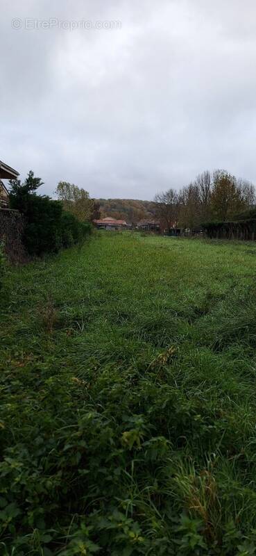 Terrain à BONREPOS-SUR-AUSSONNELLE
