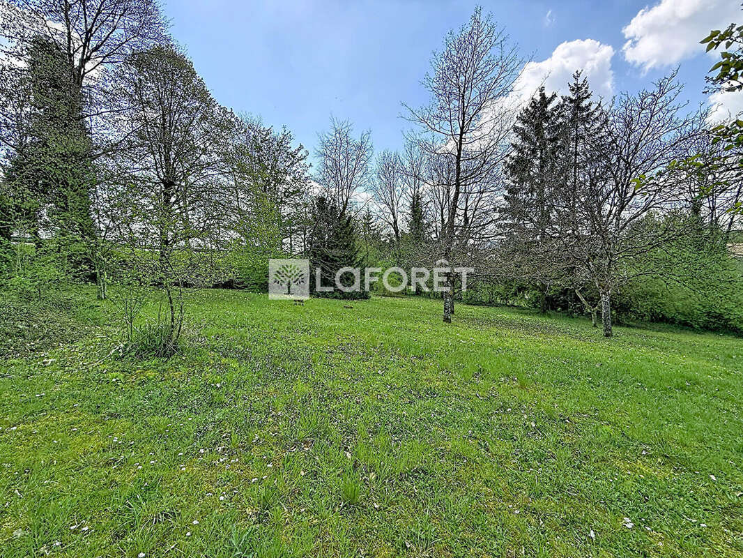 Maison Neufchateau 8 pièce(s) 167.96 m2 - photo 2