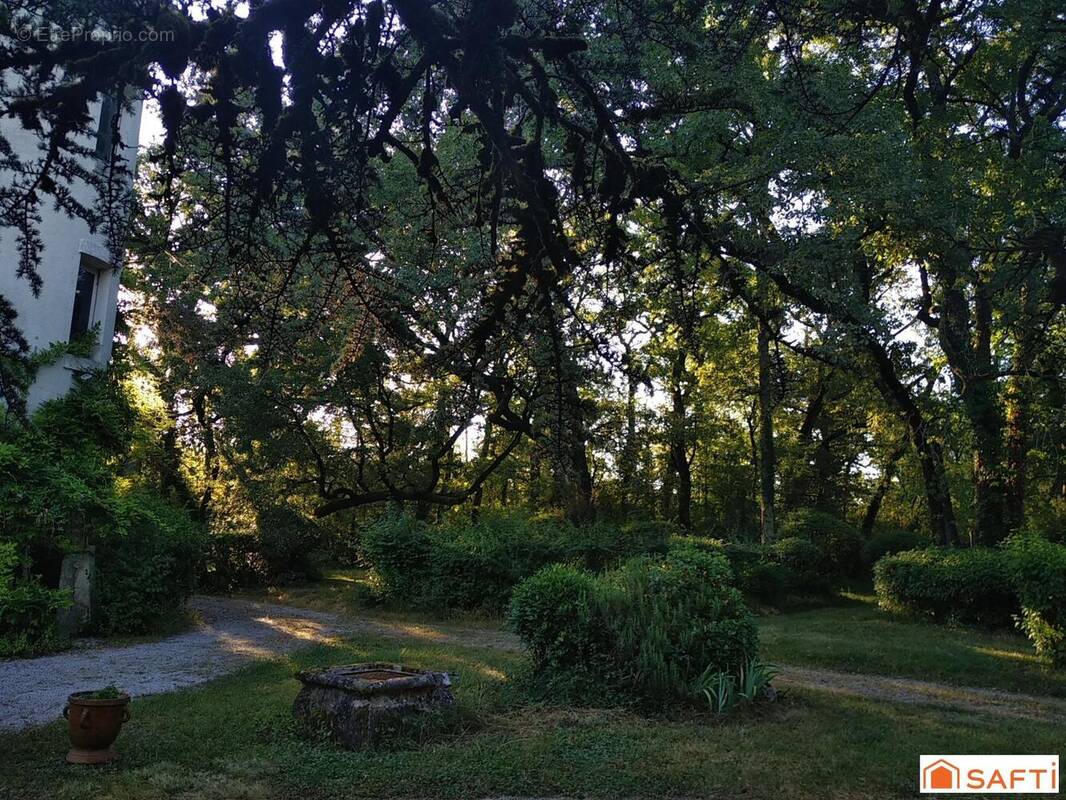 Photo 1 - Maison à CASTRES