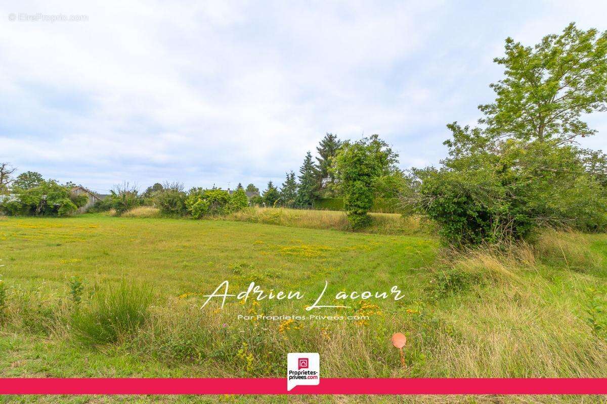 Terrain à MILLANCAY