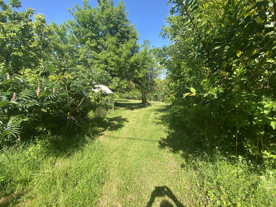 Maison à SAINTE-FEREOLE