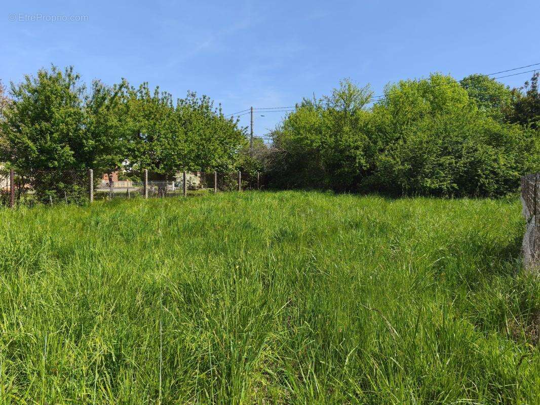 Terrain à TOULOUSE
