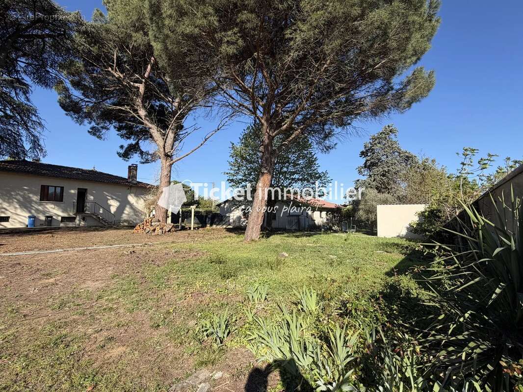 Terrain à SAINT-JEAN